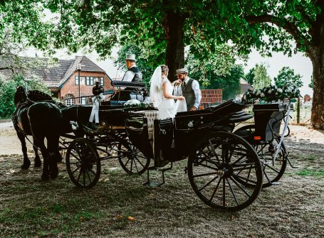 Pferdewagen mit zwei Personen unter einem großen Baum in ländlicher Umgebung.